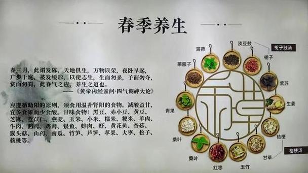 养生指南服务中心总部_养生指南服务平台_武汉养生指南