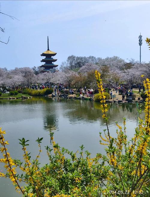 武汉休闲景点_武汉休闲的地方_武汉休闲哪里好