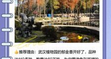 武汉休闲效果大揭秘！文化与自然景观休闲全解析