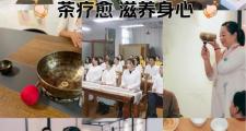 武汉养生体验：茶道雅韵中的身心调养与生活感悟
