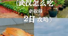 在武汉找休闲好去处？小陈的经历或许能帮你少走弯路