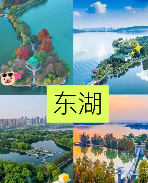 武汉休闲好去处：东湖畔赏景野餐，黄鹤楼领略独特魅力