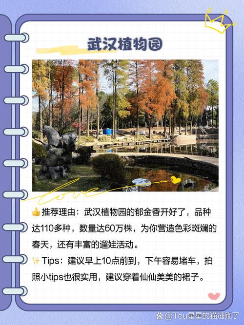 武汉休闲效果好不好_武汉休闲效果好不好_武汉休闲效果好不好