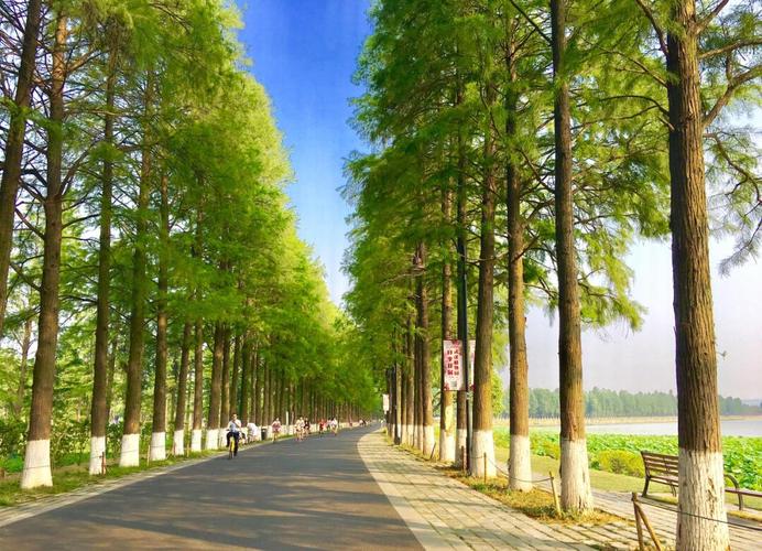 武汉休闲哪里好_武汉休闲娱乐好去处_武汉市内休闲好去处