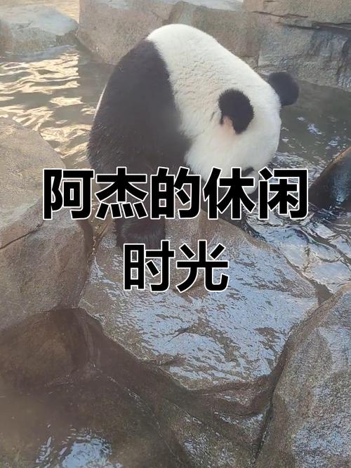 武汉休闲效果好不好_武汉休闲效果好不好_武汉休闲效果好不好